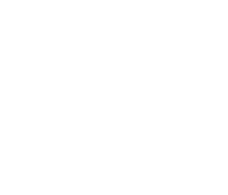 Waves Branding