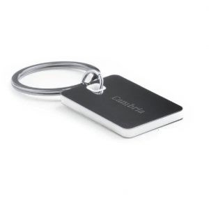 Stainless Steel Keychain In Bicolor Design